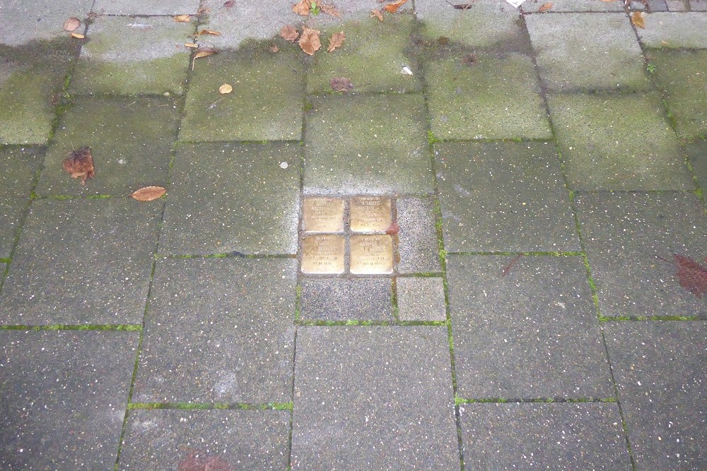 Stolpersteine Südstraße 30