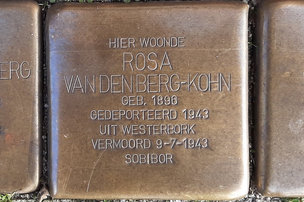 Stolpersteine Bergsingel 226b #3