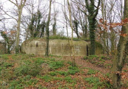 Bunker 8 Stützpunkt Brünhild 'Park Toorenvliedt' #3