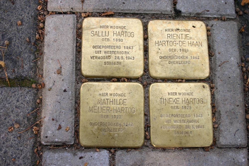 Stolpersteine Troelstralaan 47 #1