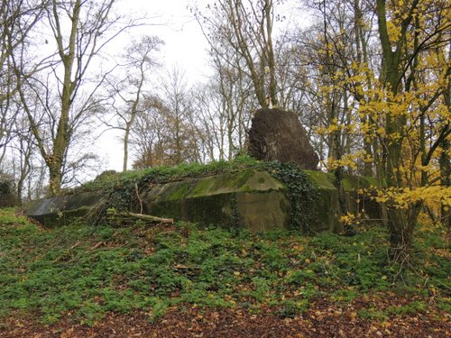 Bunker 4 Stützpunkt Brünhild 'Park Toorenvliedt' #3