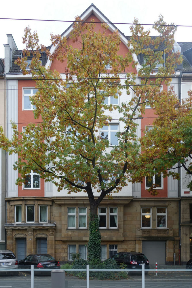Stolpersteine Brehmstraße 84 #3