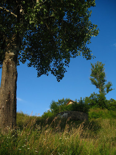 Stalin Line - Pillbox Vitebsk #1