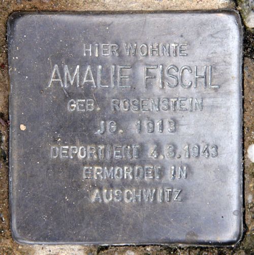 Stolpersteine Hertwigswalder Steig 8 #1