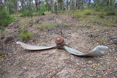 Crash Site & Remains B-24D Liberator 42-40387 #3