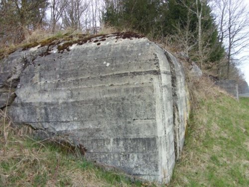 Westwall - Remains Bunker Pittenbach #2