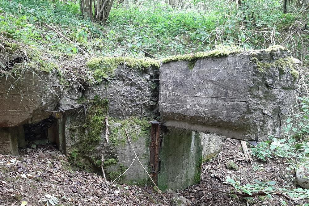 Flakstellung Zingsheim Bunker 2 #4