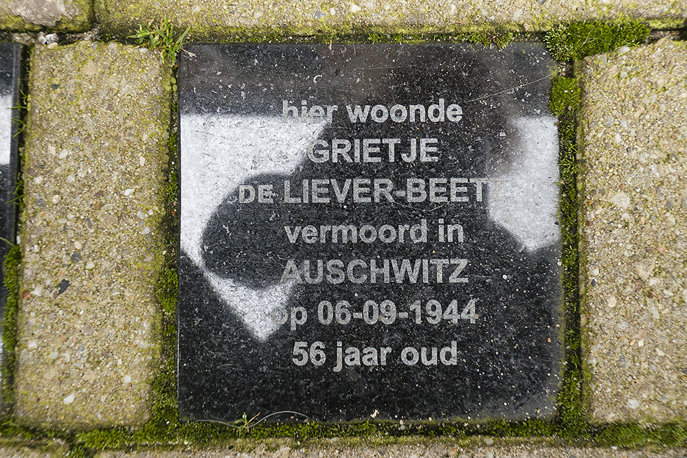 Memorial Stones Hendrik van Viandenstraat 16 #3