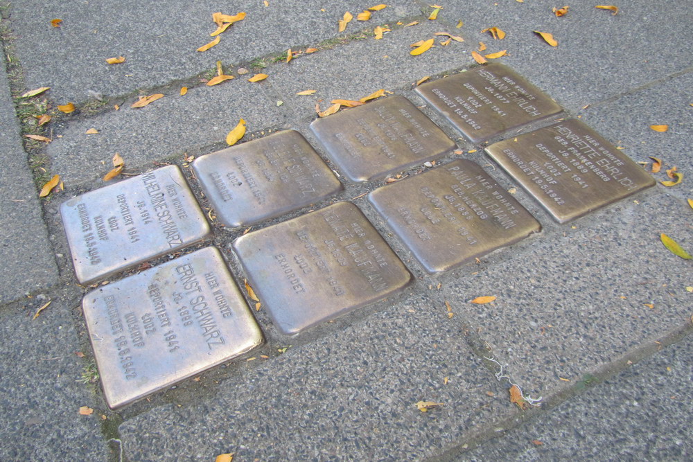Stumbling Stones Nußbaumerstraße 7 #2
