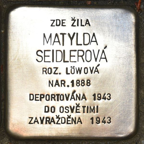 Stolpersteine Borice 422 #3