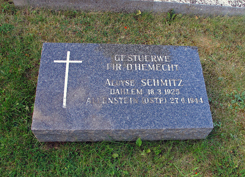 Monument Aloyse Schmitz #1