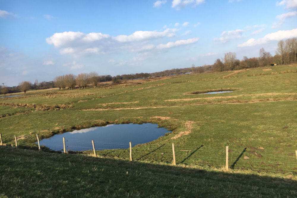 Bomb Craters Mechelen