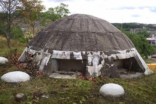 Swedish Bunkers #2