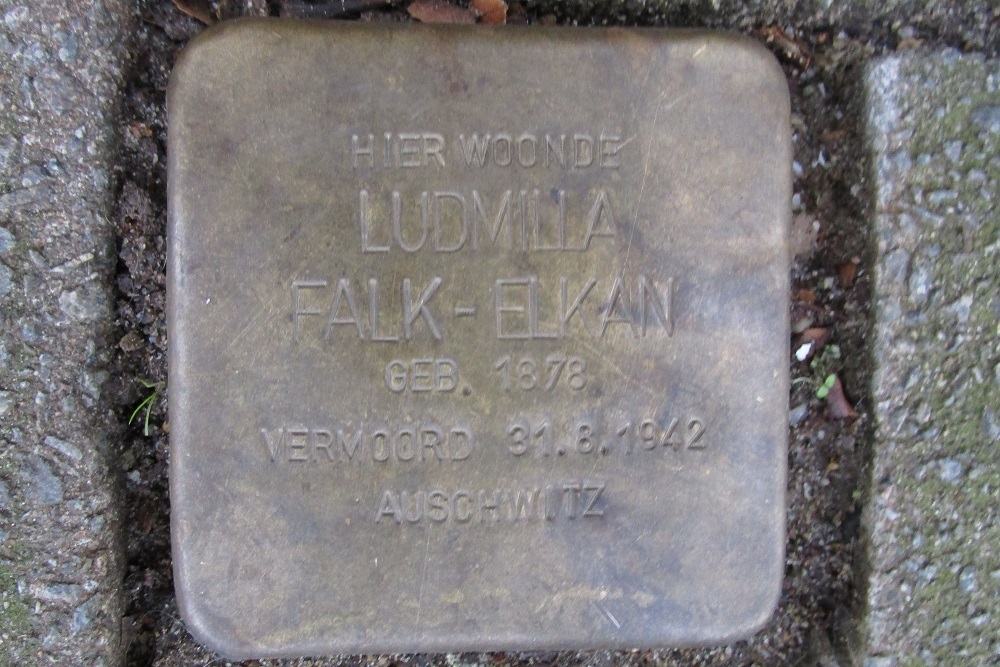 Stolpersteine Wolter Heukelslaan 62 #3