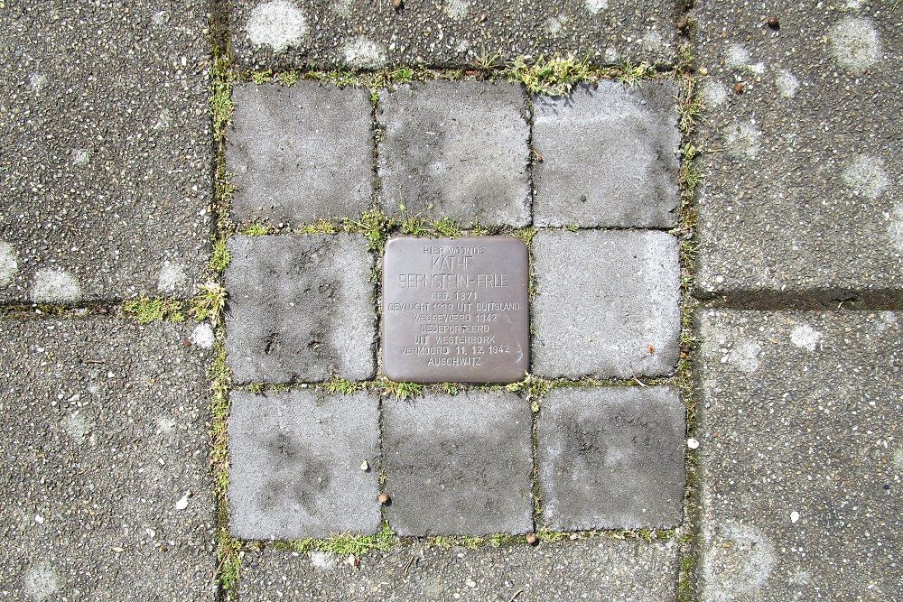 Stolperstein Gerda Brautigamstraat 8 (voorheen Anna Paulownastraat 17A)