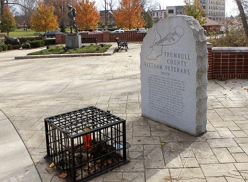 Oorlogsmonument Trumbull County #1