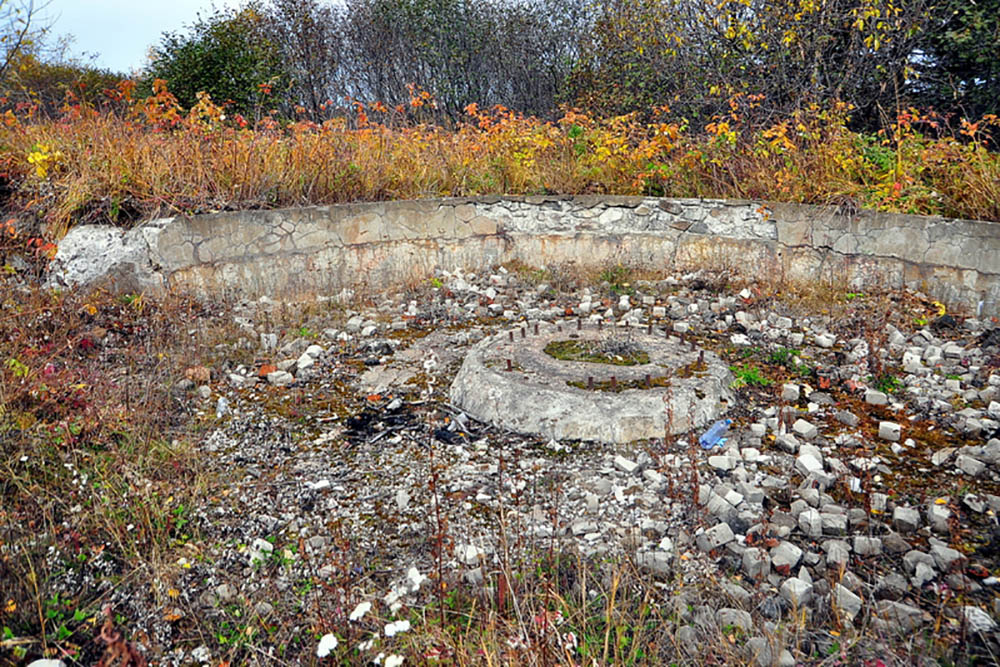 Coastal Battery No. 909 #1