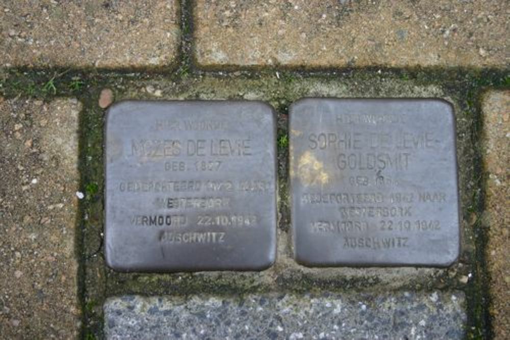 Stolpersteine Dokter H. Brouwerstraat D 17 #1