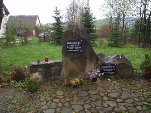 Mass Grave Victims National Socialism Lutowiska #1