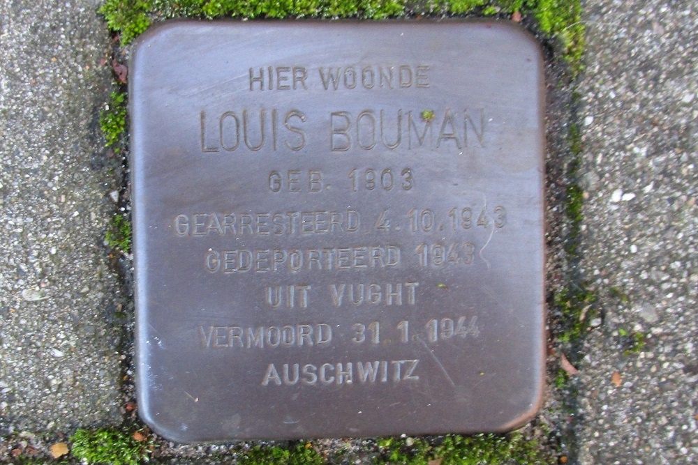 Stolperstein Julianaweg 22 (voorheen Prinses Julianaweg 22, Jutphaas) #1