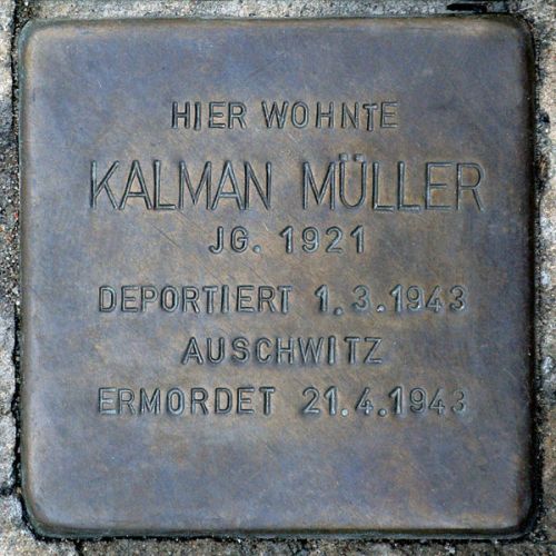 Stolpersteine Kleine Alexanderstrae 13 #3