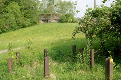 Artillery Fort 'Heldsberg' #1