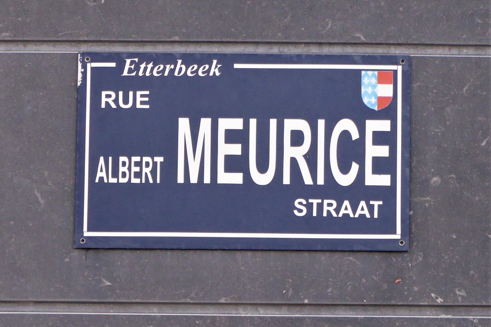 Stumbling Stone Rue Albert Meurice 15 #4