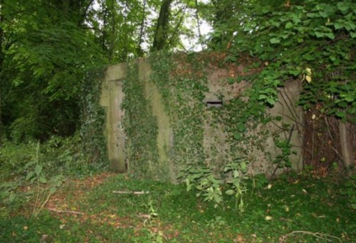 Pillbox FW3/24 Cholsey #1