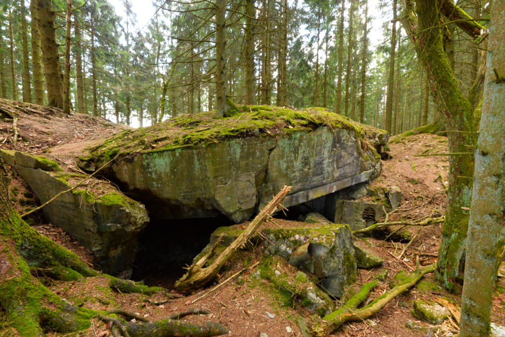 Bunker P105 Ochsenkopf-Peterberg #5