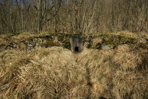 Alpenmuur - Fort Nr. 1 Studena #3