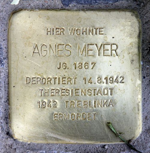 Stolpersteine Gervinusstrae 18 #2