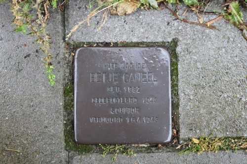 Stolperstein Pioenroosstraat 11 #2