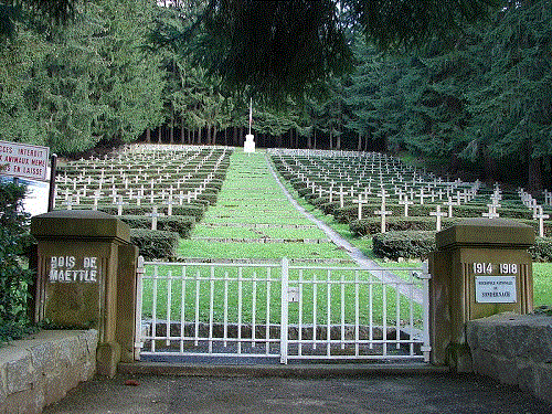 Franse Oorlogsbegraafplaats Bois de Maettl #1