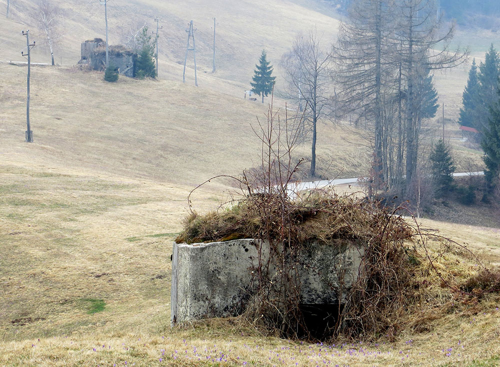 Rupniklinie - MG-bunker #1