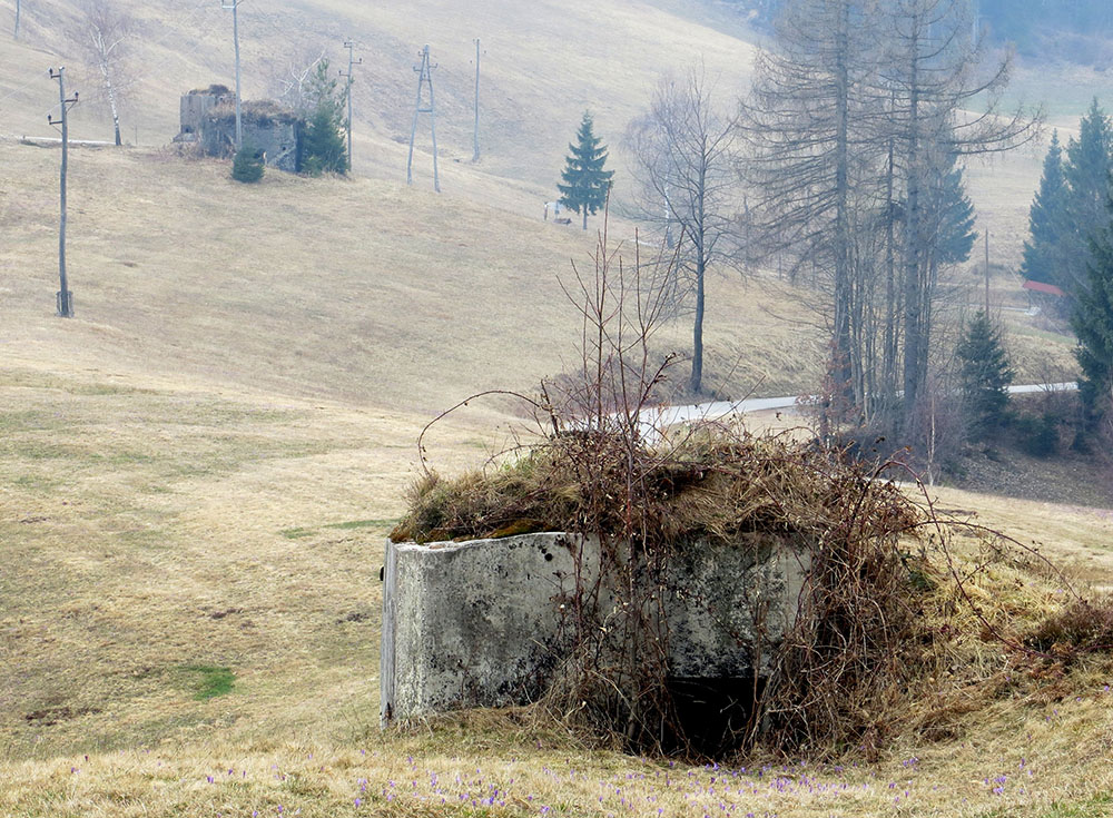 Rupnik Line - Pillbox