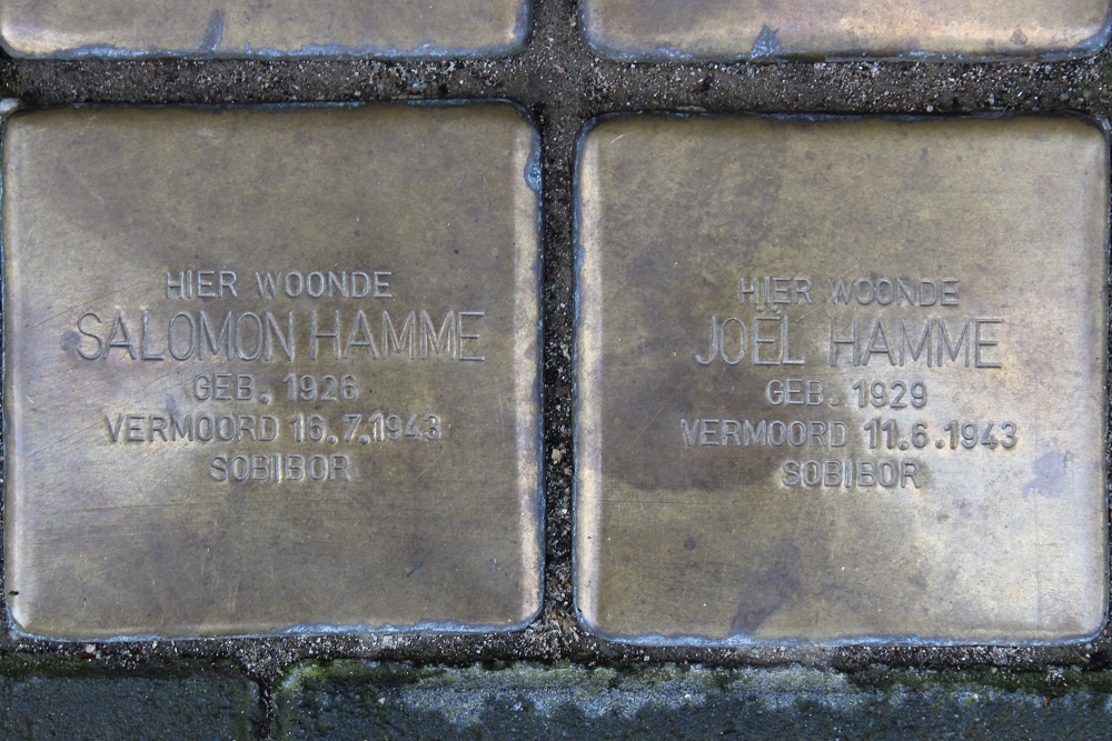 Stolpersteine Carel Reinierszkade 167 #3