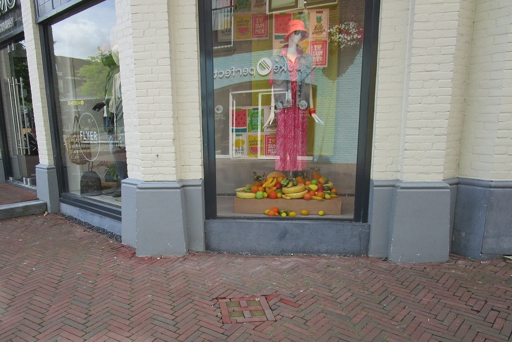 Stumbling Stones Van Mandersloostraat 98 #4