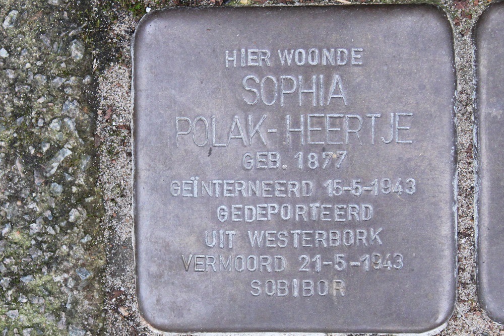 Stolpersteine Newtonstraat 23 #2