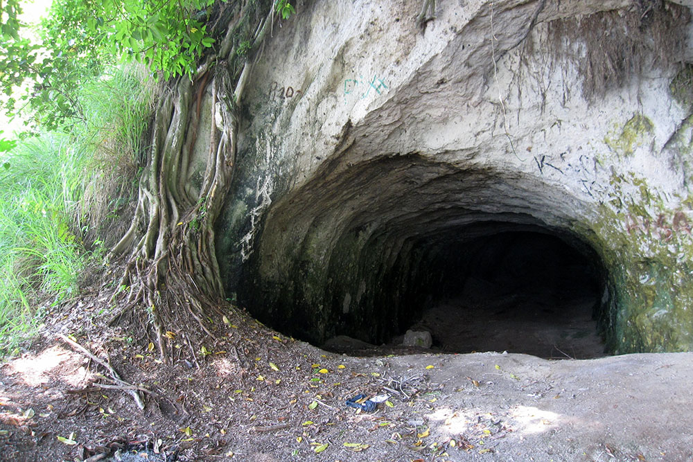 Japanese Tunnel