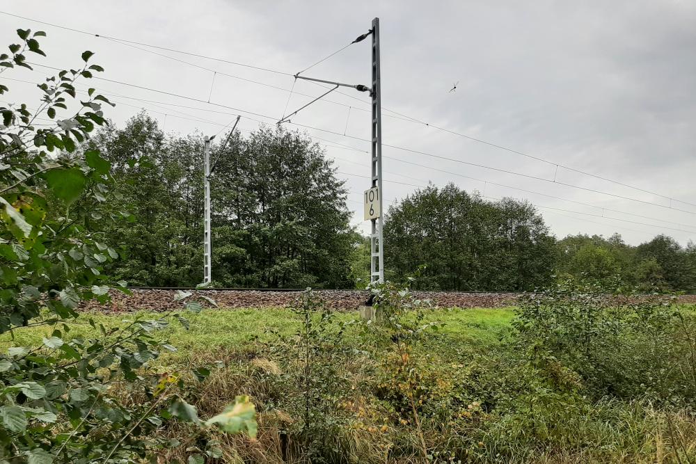 Monument Mass Grave Railroad Pole 101,6 #5