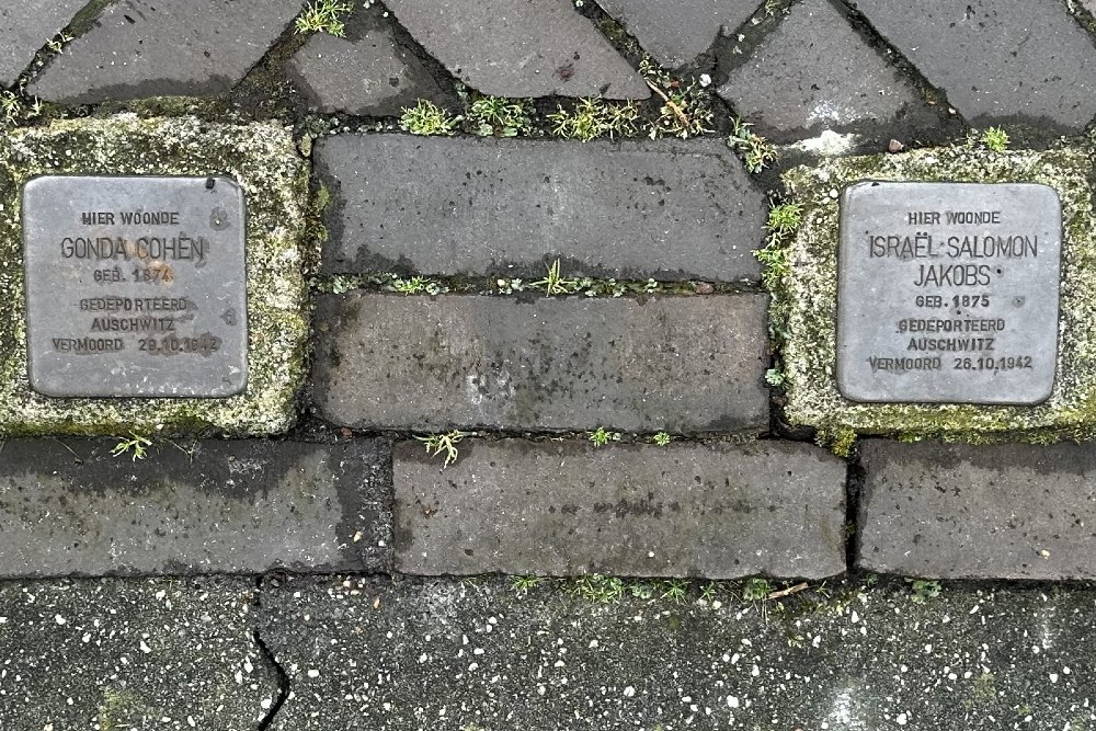 Stolpersteine Wilhelminastraat (was De Grint 62) #1