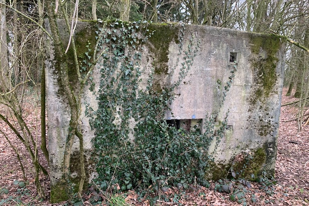 Bunker C - Position Avance Grunhaut #5