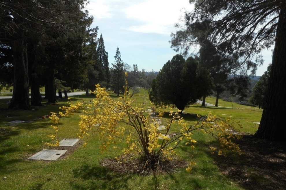 Amerikaanse Oorlogsgraven New Auburn Cemetery #1