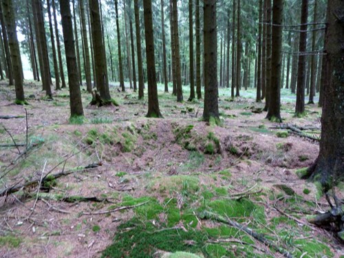 Remains American Field Positions