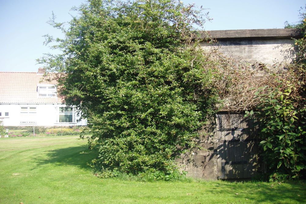 German Bunker Vf with Flak Setup #4