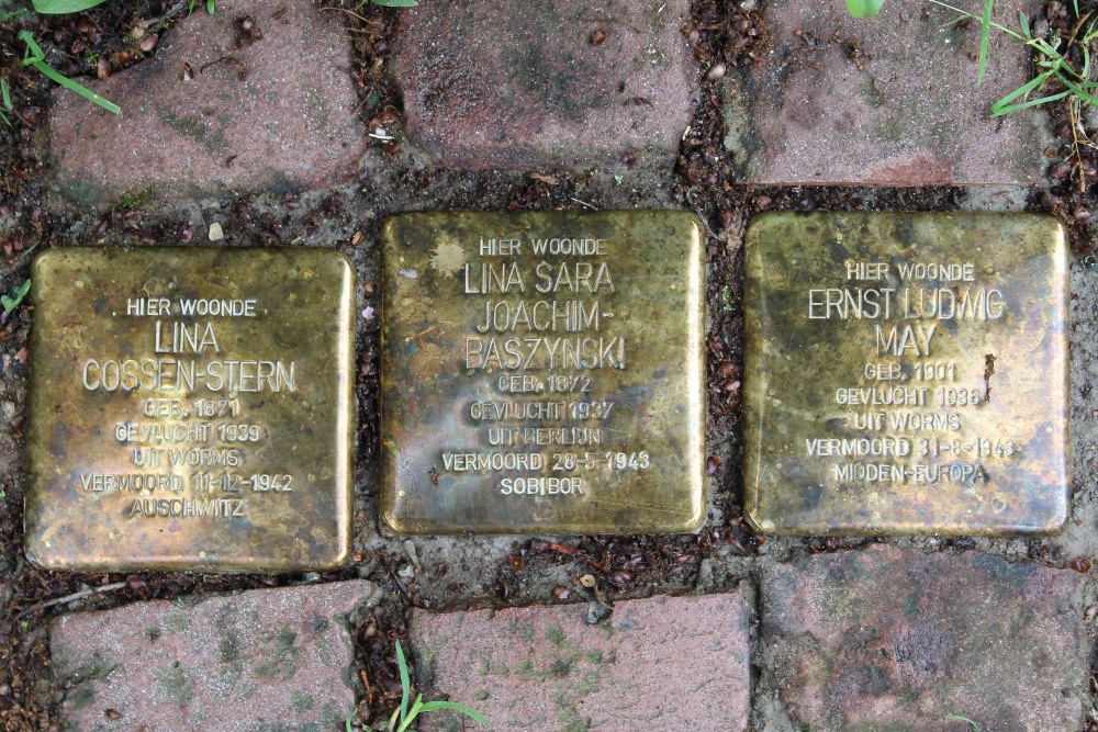 Stumbling Stones Soestdijkseweg Zuid 180 #1