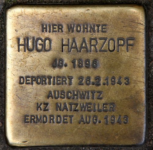 Stolpersteine Schnhauser Allee 41 #2