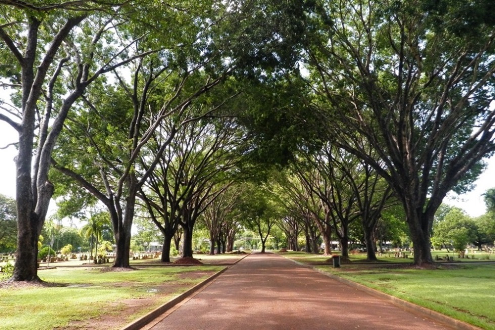 Australian War Grave Darwin General Cemetery #1