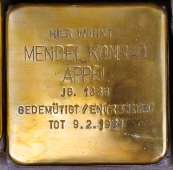 Stolpersteine Erfurter Straße 6 #3