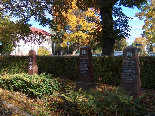 Soviet War Graves Baldone #1